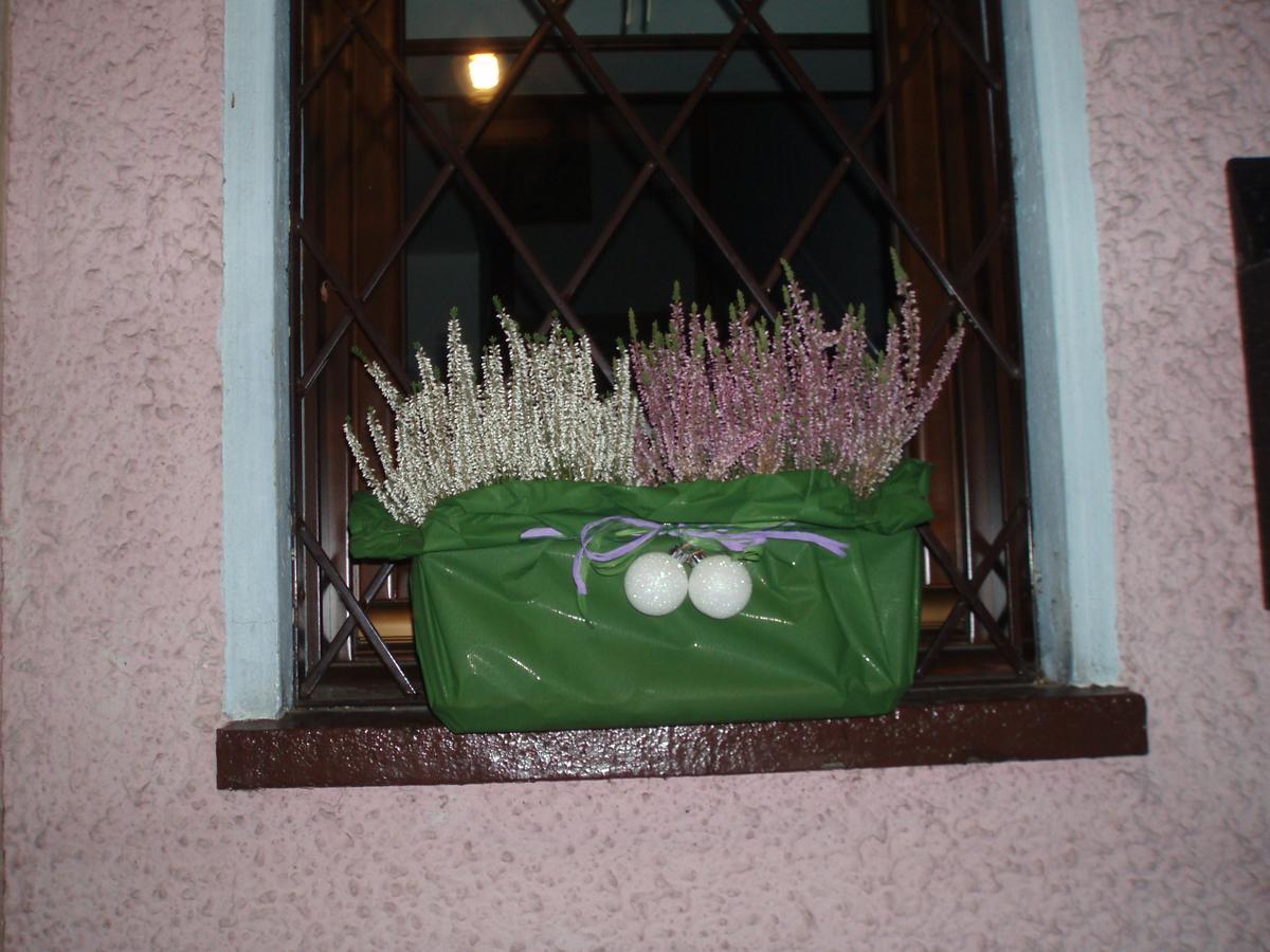 Casa Salvaterra Affittacamere Пинцоло Экстерьер фото