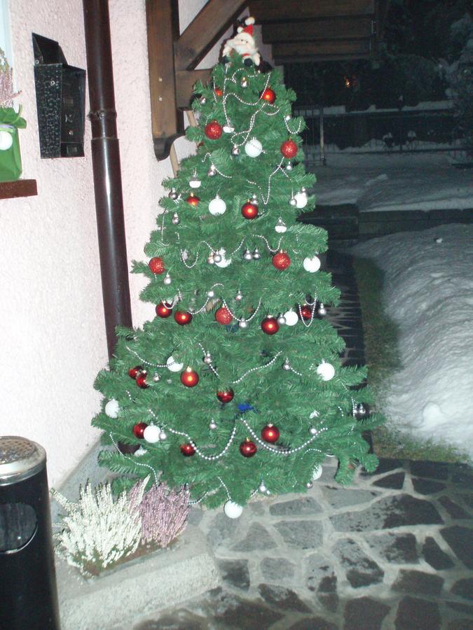Casa Salvaterra Affittacamere Пинцоло Экстерьер фото